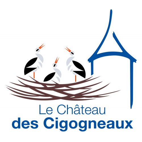 Micro-Crèche "Le Château des Cigogneaux" Sarralbe