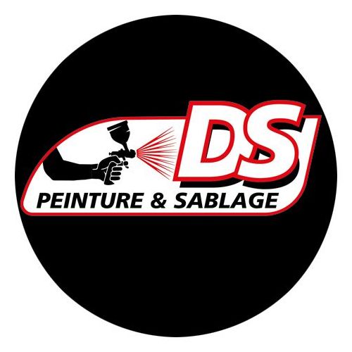 DS PEINTURE Sarralbe