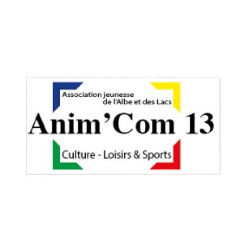 Anim'Com 13
