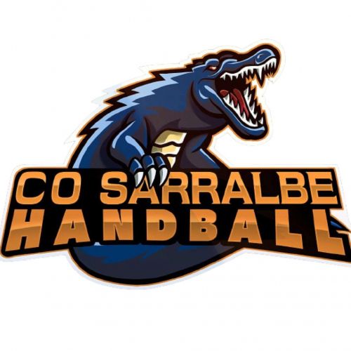 COS Handball Sarralbe