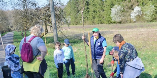 Plantation d'arbres fruitiers avec la classe Ulis