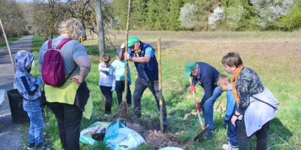 Plantation d'arbres fruitiers avec la classe Ulis
