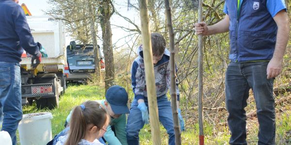 Plantation d'arbres fruitiers avec la classe Ulis
