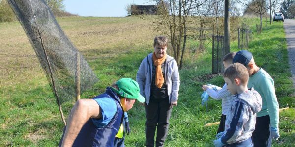 Plantation d'arbres fruitiers avec la classe Ulis