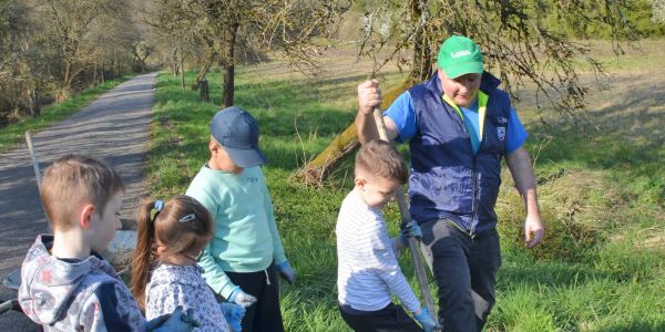 Plantation d'arbres fruitiers avec la classe Ulis