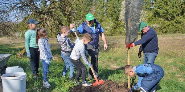 Plantation d'arbres fruitiers avec la classe Ulis