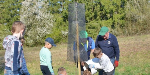 Plantation d'arbres fruitiers avec la classe Ulis