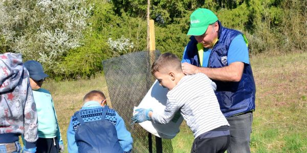 Plantation d'arbres fruitiers avec la classe Ulis