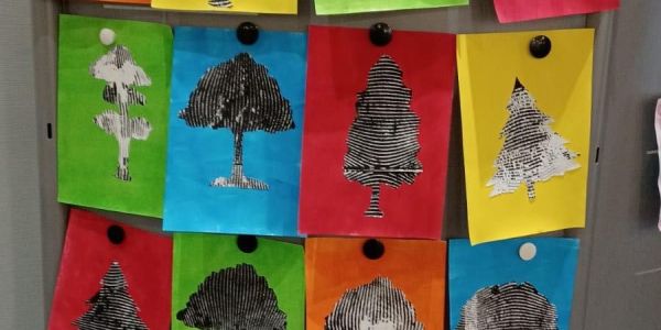 Nouvelles expositions de dessins d'arbres des enfants de nos écoles