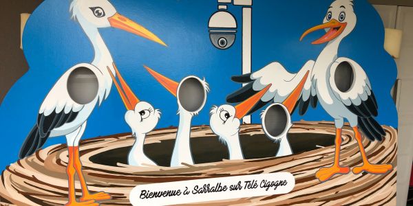 Panneau photos "Bienvenue à Sarralbe sur télé cigogne"