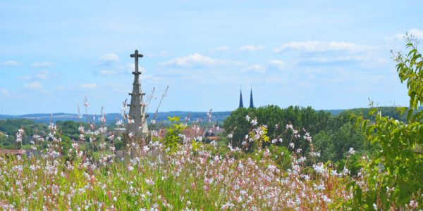 UN CIMETIÈRE PLUS VERT OÙ S’ENTREMÊLENT DOUCEUR ET SÉRÉNITÉ