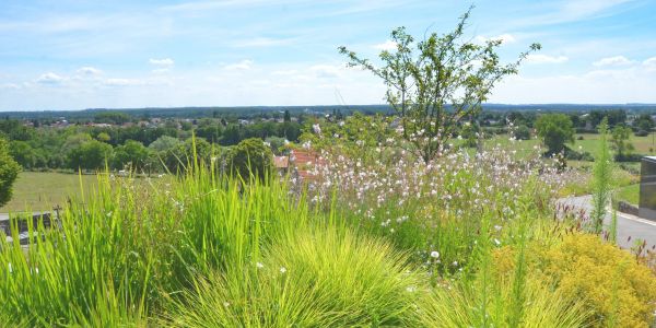 UN CIMETIÈRE PLUS VERT OÙ S’ENTREMÊLENT DOUCEUR ET SÉRÉNITÉ