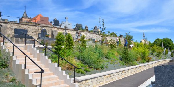 UN CIMETIÈRE PLUS VERT OÙ S’ENTREMÊLENT DOUCEUR ET SÉRÉNITÉ