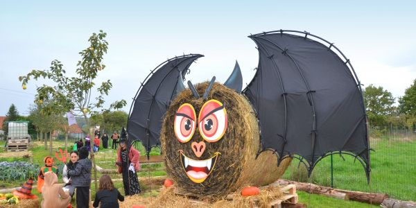 Halloween : Les enfants des écoles de Rech à la rencontre de Sophie la Sauve Souris !!!