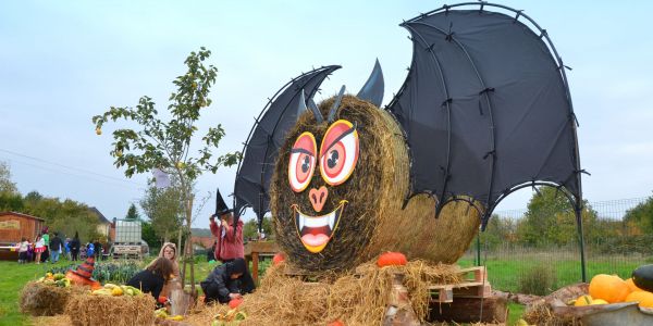 Halloween : Les enfants des écoles de Rech à la rencontre de Sophie la Sauve Souris !!!