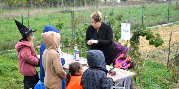 Halloween : Les enfants des écoles de Rech à la rencontre de Sophie la Sauve Souris !!!