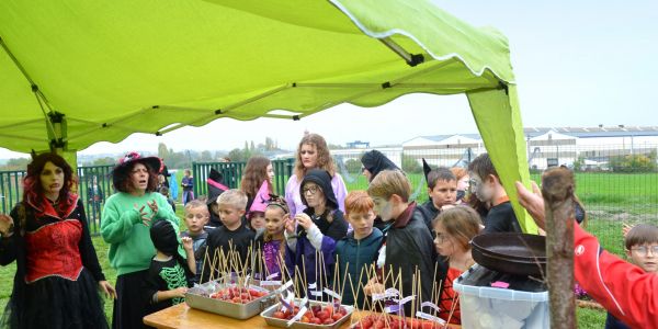 Halloween : Les enfants des écoles de Rech à la rencontre de Sophie la Sauve Souris !!!