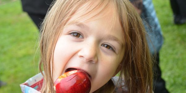 Halloween : Les enfants des écoles de Rech à la rencontre de Sophie la Sauve Souris !!!