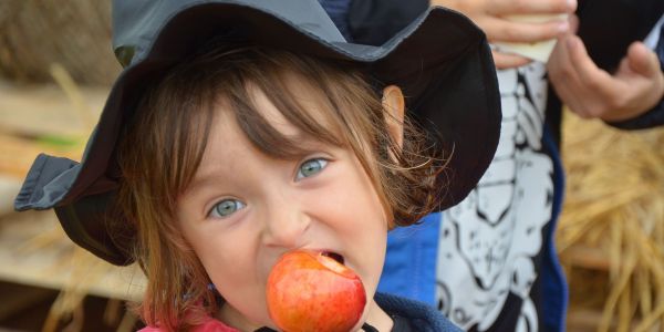 Halloween : Les enfants des écoles de Rech à la rencontre de Sophie la Sauve Souris !!!