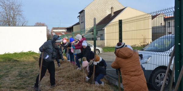 LES ÉCOLIERS ONT PLANTÉ UNE HAIE CHAMPÊTRE POUR LA BIODIVERSITÉ