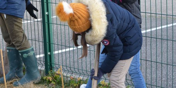 LES ÉCOLIERS ONT PLANTÉ UNE HAIE CHAMPÊTRE POUR LA BIODIVERSITÉ