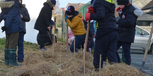 LES ÉCOLIERS ONT PLANTÉ UNE HAIE CHAMPÊTRE POUR LA BIODIVERSITÉ