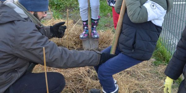 LES ÉCOLIERS ONT PLANTÉ UNE HAIE CHAMPÊTRE POUR LA BIODIVERSITÉ