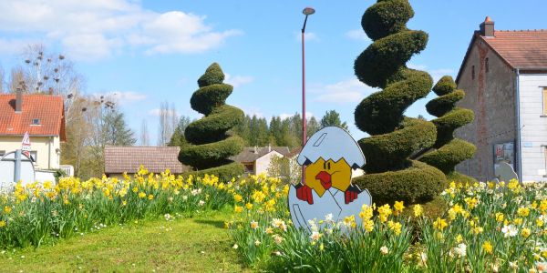 UNE MER DE FLEURS JAUNES : LES JONQUILLES SONT EN FLEURS !!!