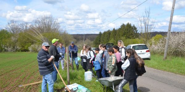 PLANTATION DE POMMIERS, QUETSCHIERS ET MIRABELLIERS AVEC NOS ÉCOLES