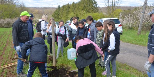 PLANTATION DE POMMIERS, QUETSCHIERS ET MIRABELLIERS AVEC NOS ÉCOLES