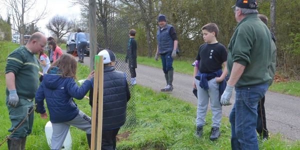 PLANTATION DE POMMIERS, QUETSCHIERS ET MIRABELLIERS AVEC NOS ÉCOLES