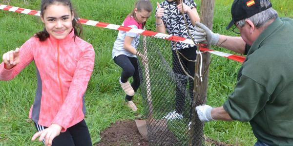 PLANTATION DE POMMIERS, QUETSCHIERS ET MIRABELLIERS AVEC NOS ÉCOLES