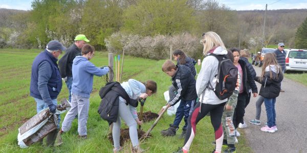 PLANTATION DE POMMIERS, QUETSCHIERS ET MIRABELLIERS AVEC NOS ÉCOLES