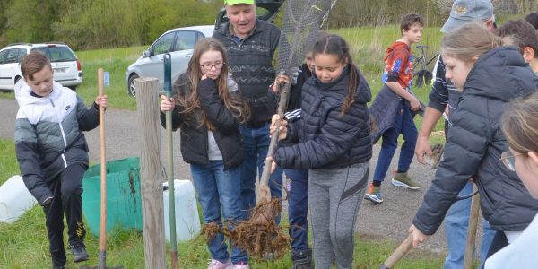 PLANTATION DE POMMIERS, QUETSCHIERS ET MIRABELLIERS AVEC NOS ÉCOLES