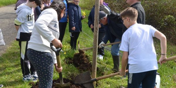 PLANTATION DE POMMIERS, QUETSCHIERS ET MIRABELLIERS AVEC NOS ÉCOLES