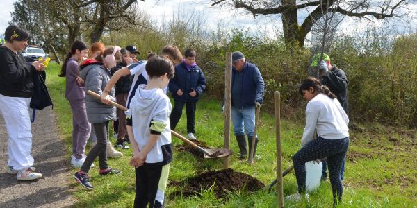 PLANTATION DE POMMIERS, QUETSCHIERS ET MIRABELLIERS AVEC NOS ÉCOLES