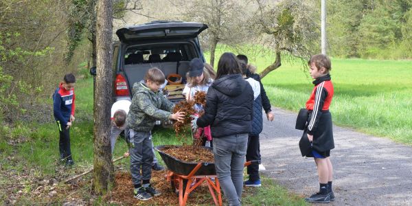 PLANTATION DE POMMIERS, QUETSCHIERS ET MIRABELLIERS AVEC NOS ÉCOLES