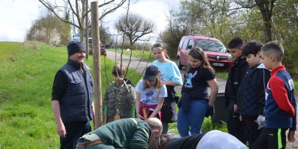 PLANTATION DE POMMIERS, QUETSCHIERS ET MIRABELLIERS AVEC NOS ÉCOLES