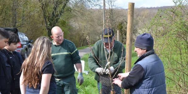 PLANTATION DE POMMIERS, QUETSCHIERS ET MIRABELLIERS AVEC NOS ÉCOLES