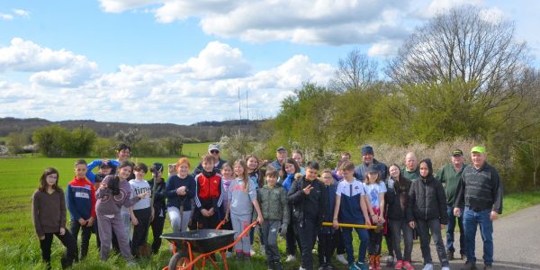 PLANTATION DE POMMIERS, QUETSCHIERS ET MIRABELLIERS AVEC NOS ÉCOLES