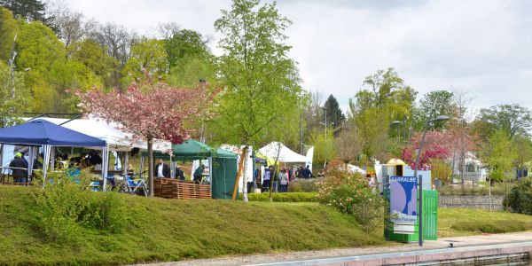 6ème, Fête du Printemps !