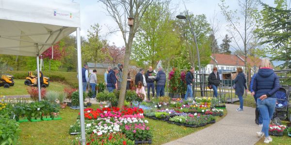 6ème, Fête du Printemps !