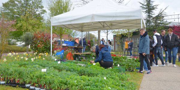 6ème, Fête du Printemps !