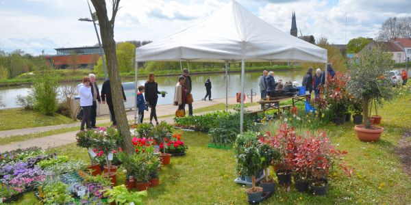 6ème, Fête du Printemps !