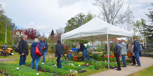 6ème, Fête du Printemps !