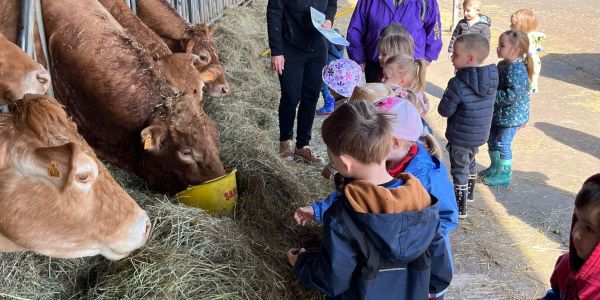 SORTIE À LA FERME MARCHAL