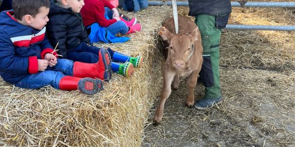 SORTIE À LA FERME MARCHAL