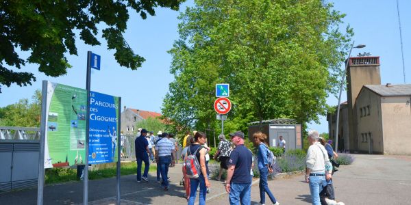 Balade avec les associations "Les Amis du Pays d’Albe” et “Les Cigognes du Grand Est”