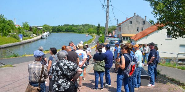 Balade avec les associations "Les Amis du Pays d’Albe” et “Les Cigognes du Grand Est”