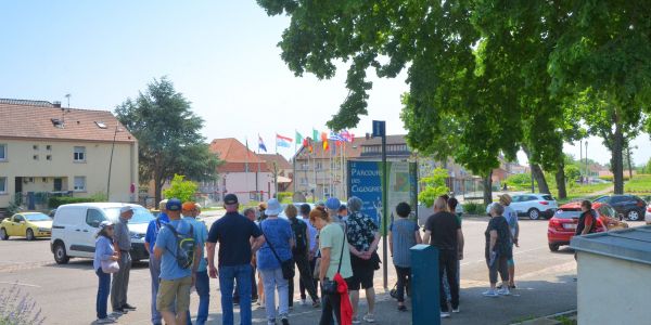 Balade avec les associations "Les Amis du Pays d’Albe” et “Les Cigognes du Grand Est”